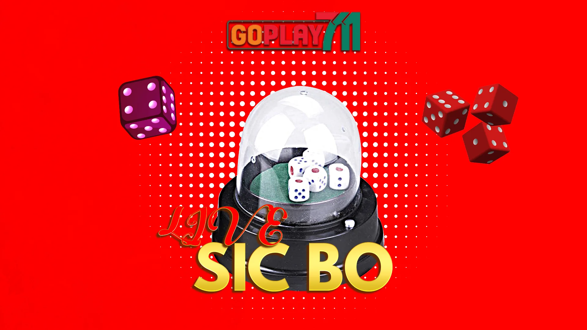 DREAMGAMING LIVE SIC BO