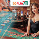 Understanding the Basics of Live Casino Gaming