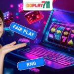 The Truth About Online Casinos: RNG, Fair Play, and Rigged Games