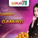 Why Sexy Gaming Casino is the Hottest Choice for Live Dealer Games